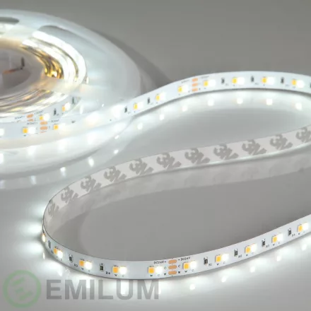 Flex LED szalag 24V, 19.2W, 2700K/6000K, CRI90, 60LED, IP20, 10mm