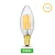 Bec cu LED în formă de lumânare, 24V, 5W, 2700K, E14 (adaptor E27)