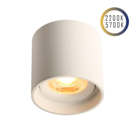 Spot de tavan cu LED-uri 24V, 8W, 2200K 5700K, CRI90 (alb reglabil, CCT)