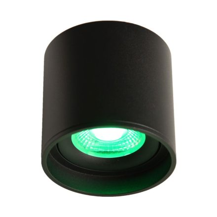 LED Ceiling Spot 24V, 8W, RGBW 2700K, CRI90 negru