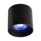 LED Ceiling Spot 24V, 8W, RGBW 2700K, CRI90 negru